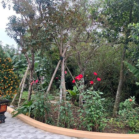 Tre Xanh Homestay Ninh Binh Bagian luar foto
