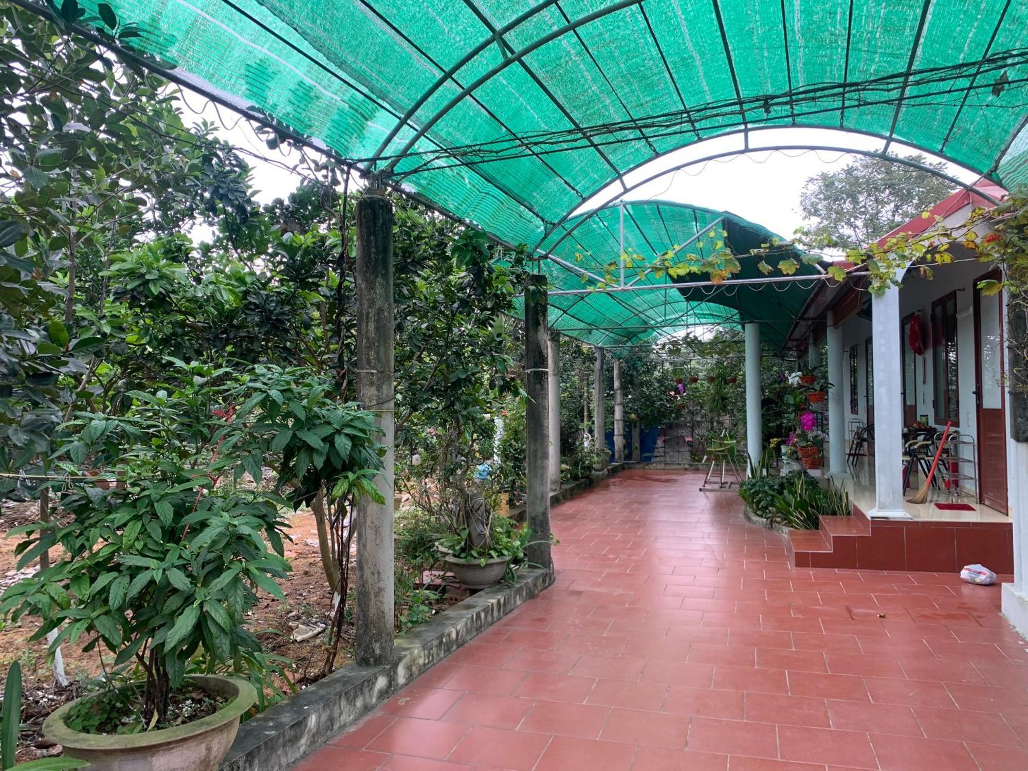 Tre Xanh Homestay Ninh Binh Bagian luar foto